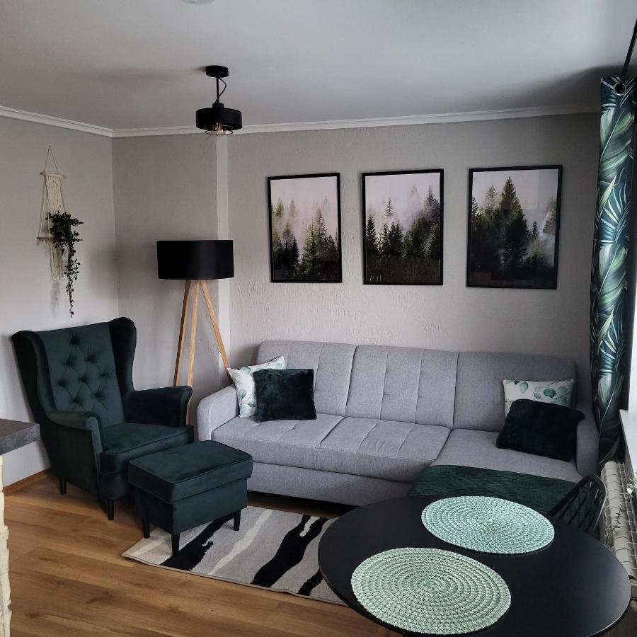 Kosciuszki Apartment